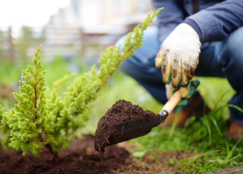 Nos services d’entretien des espaces verts 